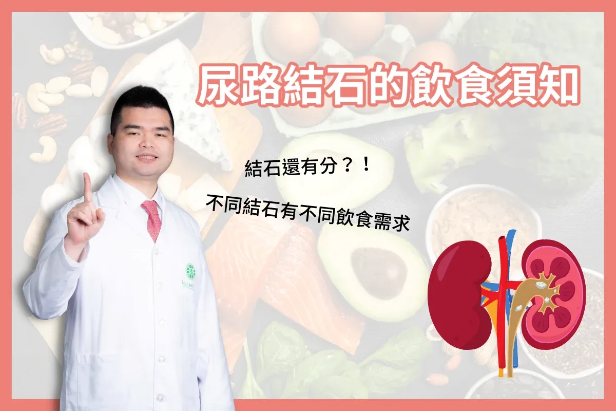尿路結石（一）