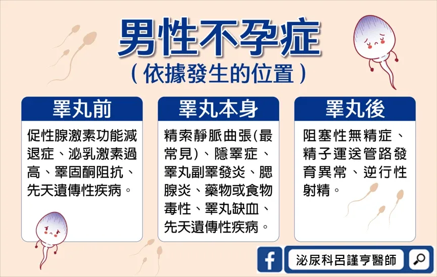 男性不孕的常見原因