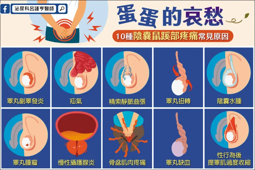 達文西微創疝氣修補手術
